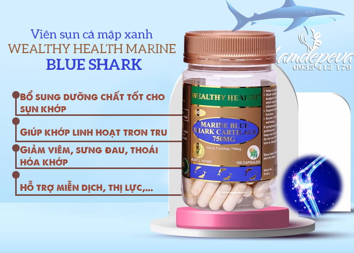 sun-ca-map-xanh-wealthy-health-marine-blue-shark-uc-2.jpg