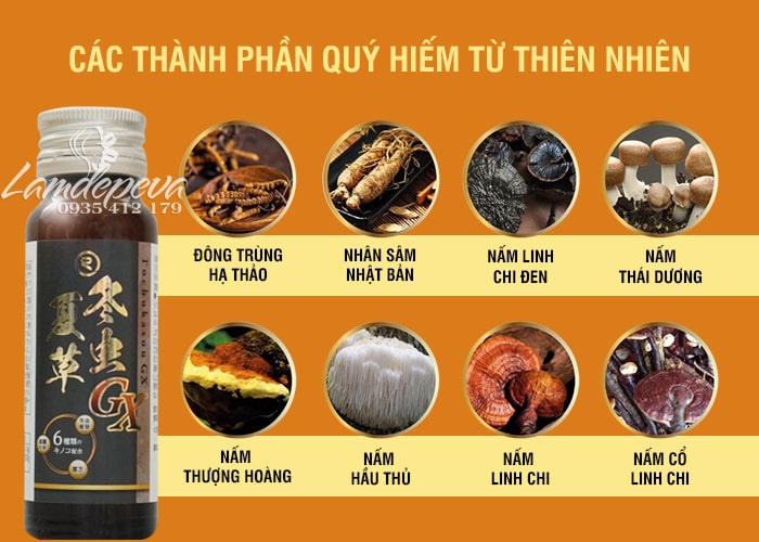 Nước uống đông trùng hạ thảo Tochukasou GX Drink 10 chai 3