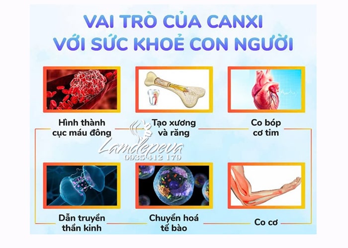 Review các loại canxi hữu cơ tốt nhất cho xương chắc khỏe  56