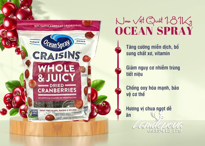 Nam việt quất sấy khô Ocean Spray Craisins Cranberries 89