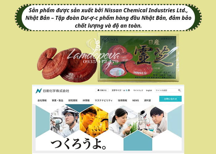 Nấm linh chi đỏ Nissan Reishi Nhật Bản 39g - Hàng nội địa 08