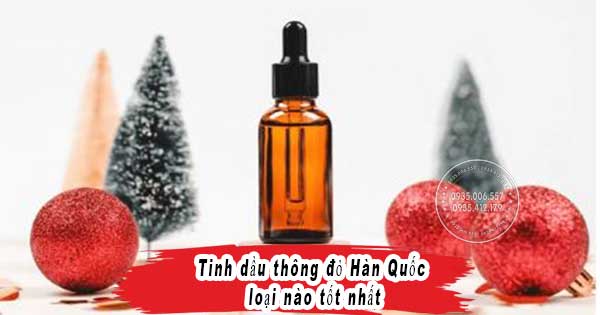 top-6-tinh-dau-thong-do-han-quoc-loai-nao-tot-nhat-xem-ngay4.jpg