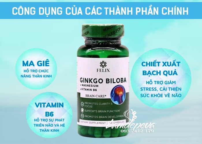 Bổ não Felix Ginkgo Biloba Magnesium Vitamin B6 của Mỹ 47