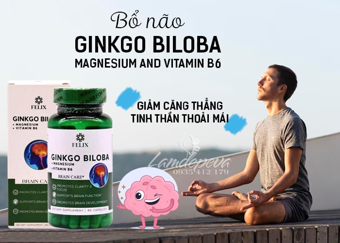Bổ não Felix Ginkgo Biloba Magnesium Vitamin B6 của Mỹ 23
