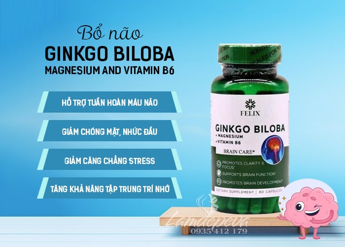Bổ não Felix Ginkgo Biloba Magnesium Vitamin B6 của Mỹ 38